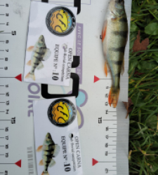 photo prise 52034 par Fred