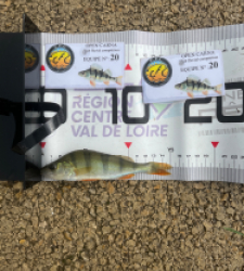 photo prise 52036 par Joris Pougin