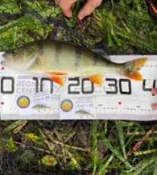 photo prise 52039 par 