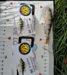 photo prise 52040 par Fred