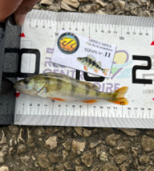 photo prise 52042 par Damien