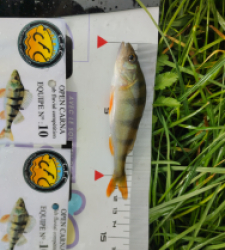 photo prise 52044 par Jéjé 