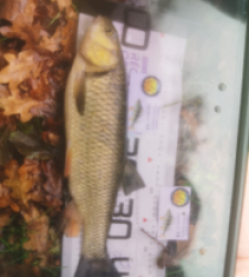 photo prise 52047 par 