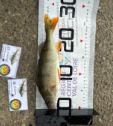 photo prise 52050 par Djy86om 