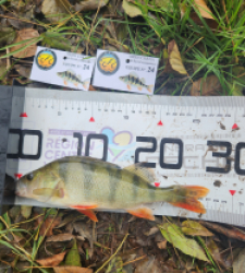 photo prise 52051 par peslinrudy27