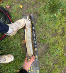 photo prise 52052 par 