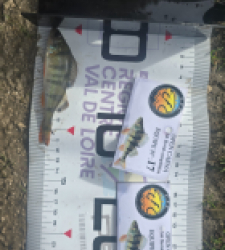 photo prise 52054 par Emmanuel RD