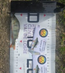 photo prise 52055 par Emmanuel RD