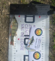 photo prise 52056 par Emmanuel RD