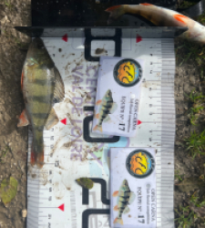 photo prise 52057 par Louismdt