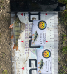 photo prise 52060 par Louismdt