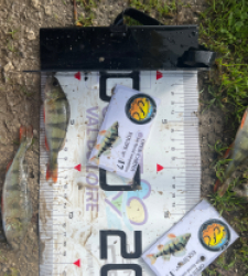 photo prise 52061 par Louismdt