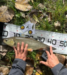 photo prise 52066 par Le C