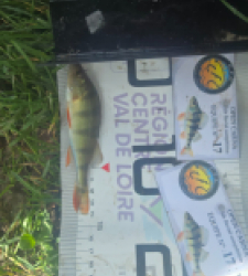 photo prise 52073 par Emmanuel RD