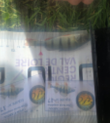 photo prise 52074 par Emmanuel RD