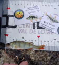 photo prise 52075 par Theo