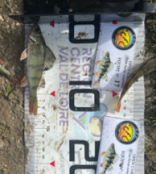 photo prise 52076 par Louismdt