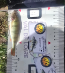 photo prise 52077 par Emmanuel RD