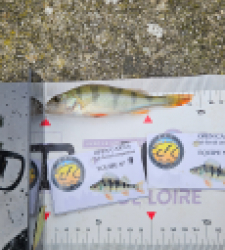 photo prise 52083 par Greg