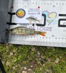 photo prise 52086 par Damien