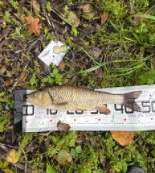 photo prise 52090 par Le C