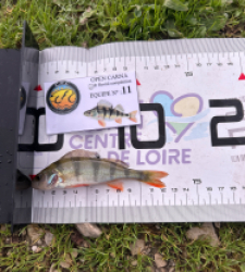 photo prise 52091 par Damien