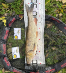 photo prise 52093 par Le C