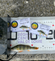 photo prise 52094 par 