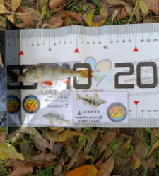 photo prise 52095 par 