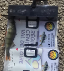 photo prise 52096 par Emmanuel RD