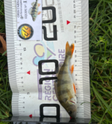 photo prise 52098 par Damien