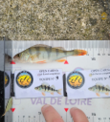 photo prise 52099 par Greg