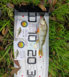 photo prise 52100 par Polofisher