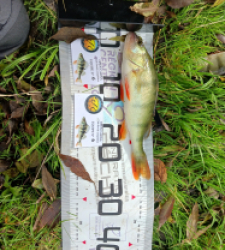 photo prise 52101 par Polofisher