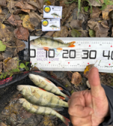 photo prise 52102 par Le C