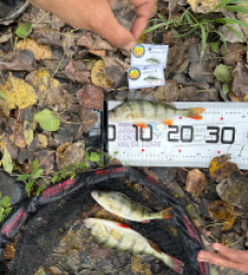 photo prise 52103 par Le C