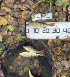 photo prise 52104 par Le C