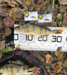 photo prise 52105 par Le C