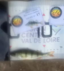 photo prise 52107 par Emmanuel RD