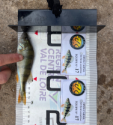 photo prise 52108 par Louismdt