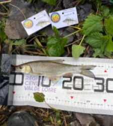 photo prise 52109 par bverger17