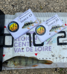 photo prise 52110 par 