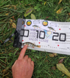 photo prise 52111 par gege10