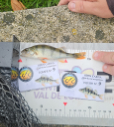 photo prise 52112 par Greg