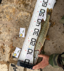 photo prise 52113 par Louismdt