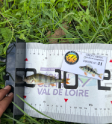 photo prise 52114 par Damien