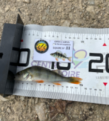 photo prise 52115 par Damien