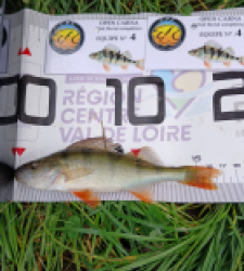 photo prise 52116 par Theo