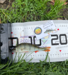 photo prise 52117 par Damien