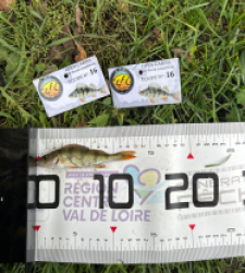 photo prise 52118 par The fisher16